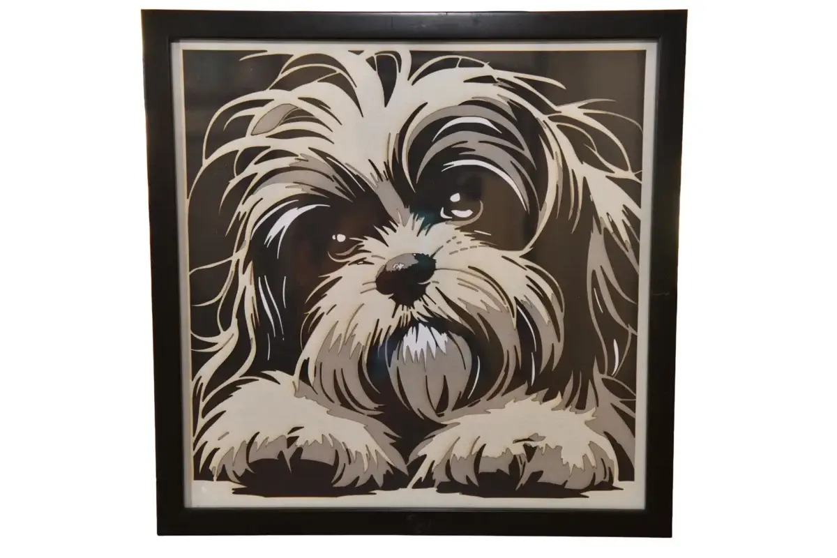 FLO_7225-copie.jpg Shih Tzu expressif