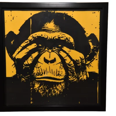 Chimpanzé “Je ne vois rien”